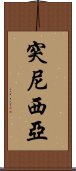 突尼西亞 Scroll