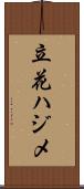 立花ハジメ Scroll