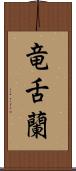 竜舌蘭 Scroll