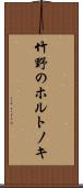 竹野のホルトノキ Scroll