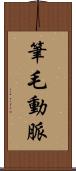 筆毛動脈 Scroll