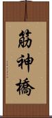 筋神橋 Scroll