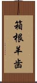 箱根羊歯 Scroll