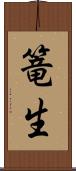 篭生 Scroll