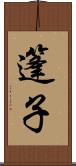 篷子 Scroll