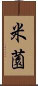 米薗 Scroll