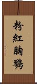 粉紅胸鷚 Scroll