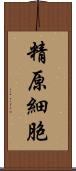 精原細胞 Scroll