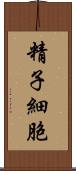 精子細胞 Scroll