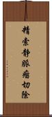 精索静脈瘤切除 Scroll