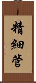 精細管 Scroll