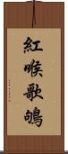 紅喉歌鴝 Scroll