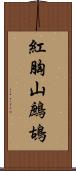 紅胸山鷓鴣 Scroll