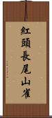 紅頭長尾山雀 Scroll