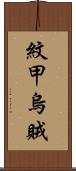 紋甲烏賊 Scroll