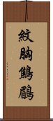 紋胸鷦鶥 Scroll