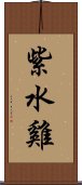 紫水雞 Scroll