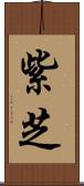 紫芝 Scroll