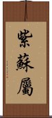 紫蘇屬 Scroll