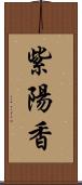 紫陽香 Scroll