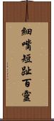 細嘴短趾百靈 Scroll