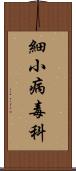 細小病毒科 Scroll