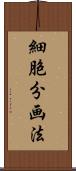 細胞分画法 Scroll