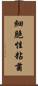 細胞性粘菌 Scroll