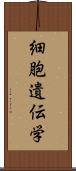 細胞遺伝学 Scroll