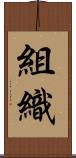 組織 Scroll