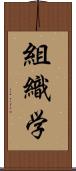組織学 Scroll