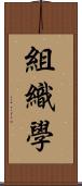 組織學 Scroll