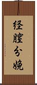 経膣分娩 Scroll