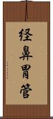 経鼻胃管 Scroll