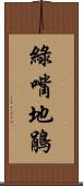 綠嘴地鵑 Scroll