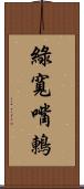 綠寬嘴鶇 Scroll