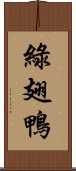 綠翅鴨 Scroll