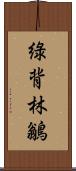 綠背林鶲 Scroll