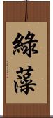 綠藻 Scroll
