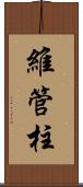 維管柱 Scroll