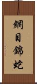 網目錦蛇 Scroll