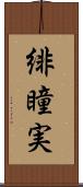 緋瞳実 Scroll