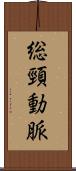 総頸動脈 Scroll