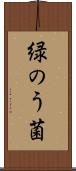 緑のう菌 Scroll