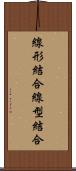 線形結合 Scroll