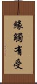 緣觸有受 Scroll