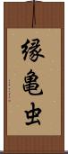 縁亀虫 Scroll