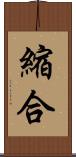 縮合 Scroll