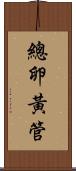 總卵黃管 Scroll