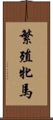 繁殖牝馬 Scroll